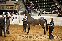 08usn-s07489 proof