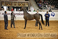 08usn-s07490 proof