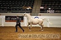08usn-s07497 proof