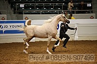 08usn-s07499 proof