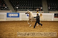 08usn-s07501 proof