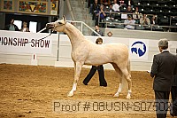 08usn-s07502 proof