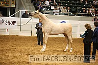 08usn-s07503 proof
