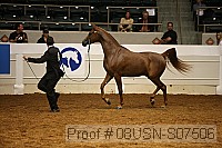 08usn-s07506 proof