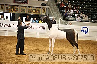 08usn-s07510 proof
