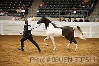 08usn-s07511 proof