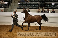 08usn-s07514 proof