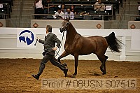 08usn-s07515 proof