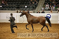 08usn-s07518 proof