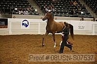 08usn-s07537 proof