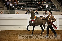 08usn-s07541 proof