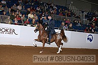 08usn-04033 proof