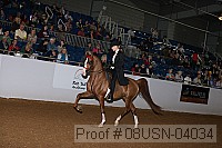 08usn-04034 proof