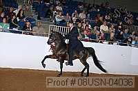 08usn-04036 proof