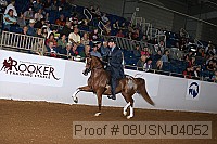 08usn-04052 proof