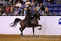 08usn-04064 proof