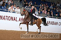 08usn-04081 proof