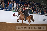 08usn-04089 proof
