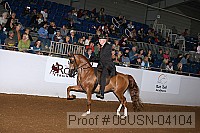 08usn-04104 proof