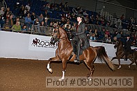08usn-04106 proof