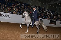 08usn-04110 proof