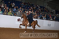 08usn-04112 proof