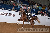 08usn-04128 proof