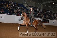 08usn-13132 proof