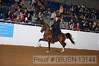 08usn-13144 proof