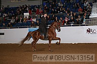 08usn-13154 proof