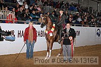 08usn-13164 proof