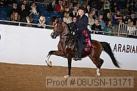 08usn-13171 proof