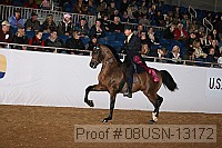 08usn-13172 proof