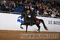 08usn-13173 proof