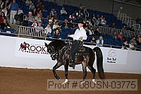 08usn-03775 proof