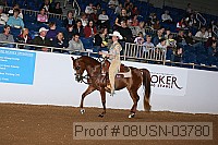 08usn-03780 proof