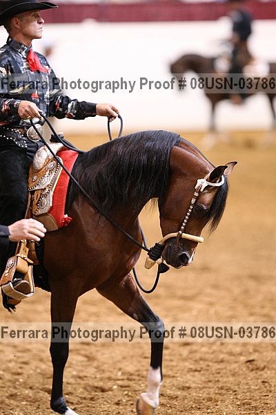 Proof 08usn-03786