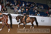 08usn-03794 proof