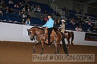 08usn-03796 proof