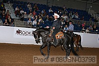 08usn-03798 proof