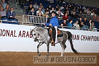 08usn-03807 proof