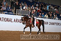08usn-03812 proof