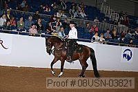 08usn-03821 proof
