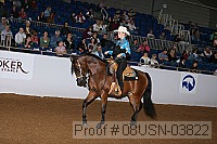 08usn-03822 proof