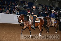 08usn-03823 proof