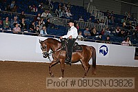 08usn-03826 proof