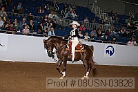 08usn-03828 proof