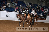 08usn-03829 proof