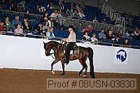 08usn-03830 proof
