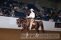 08usn-03831 proof